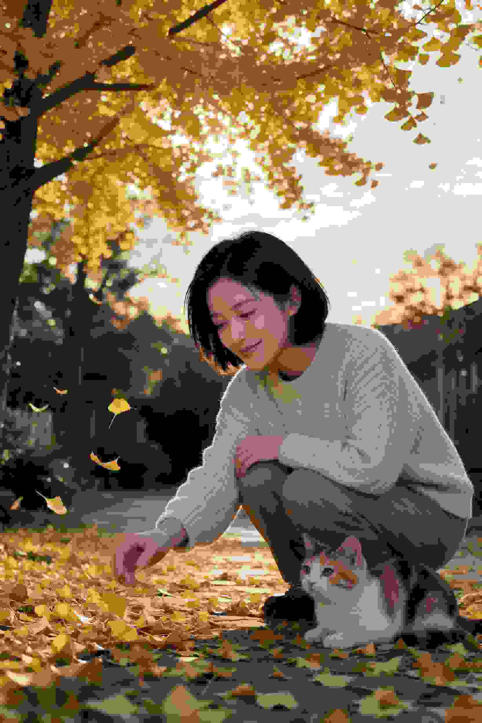 离婚风波